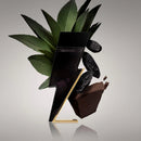 Bad Boy Carolina Herrera Eau de Toilette - Perfume Masculino.